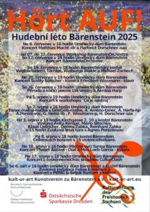Programm Musiksommer 2025