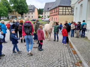 Treffpunkt_Baerensteiner_Wandertag_Markt